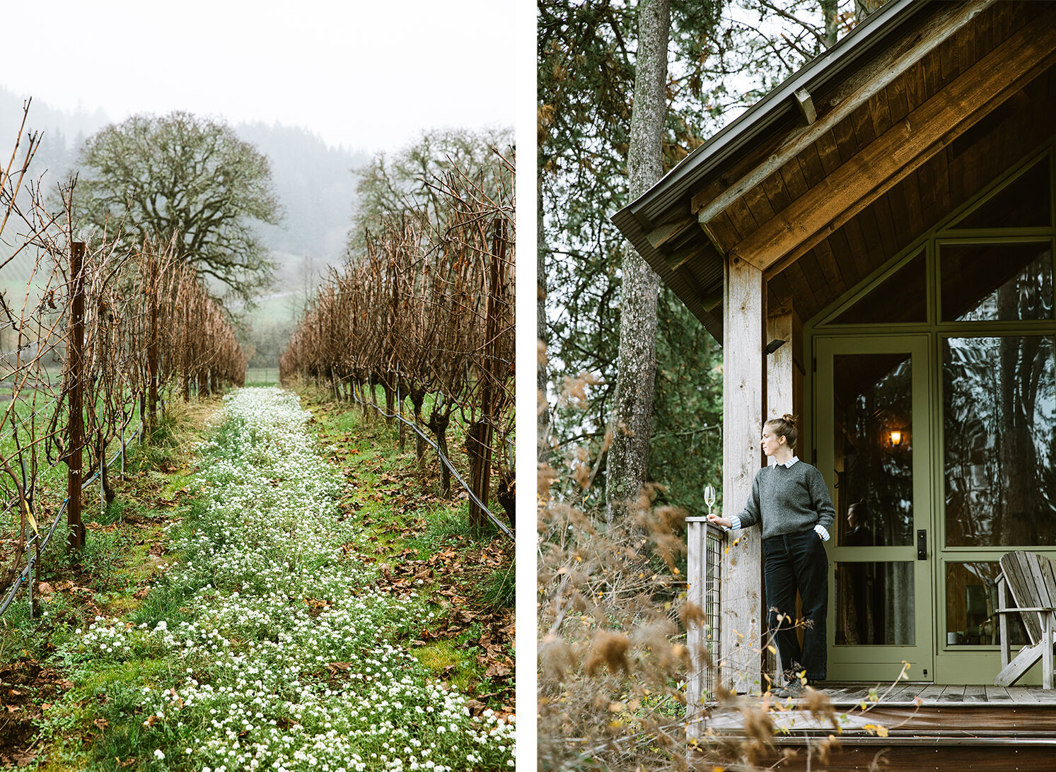 Soter vineyard 2